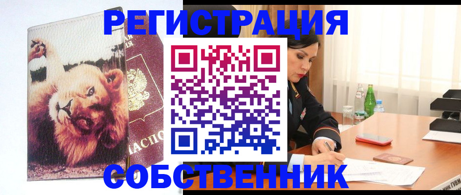 прописка от собственника в Сибае